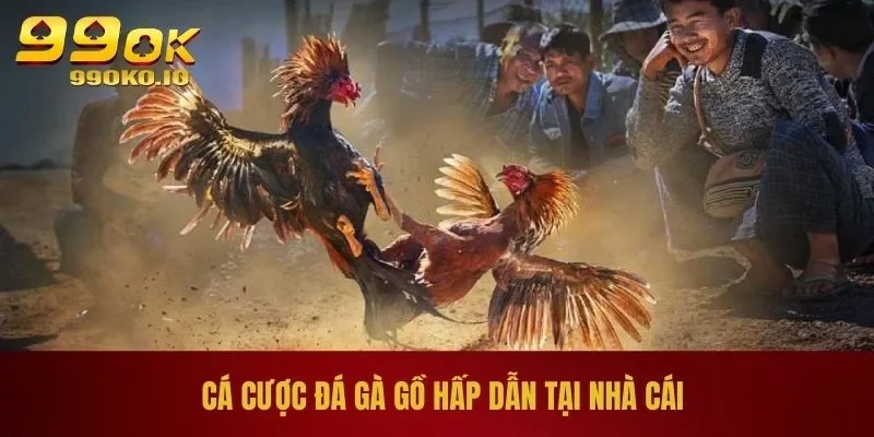 Cá cược đá gà gồ hấp dẫn tại nhà cái