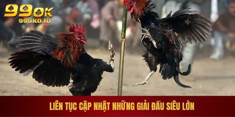 Liên tục cập nhật những giải đấu siêu lớn